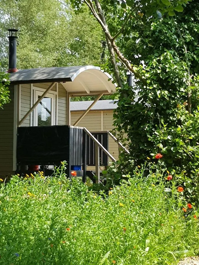 Campingplads Glamping At Back Of Beyond Touring Park Hotel Saint Leonards