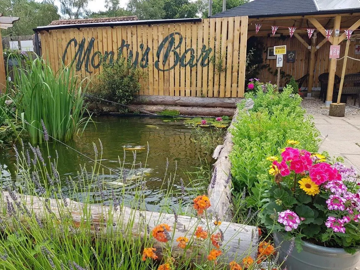 Campingplads Glamping At Back Of Beyond Touring Park Hotel Saint Leonards Storbritannien
