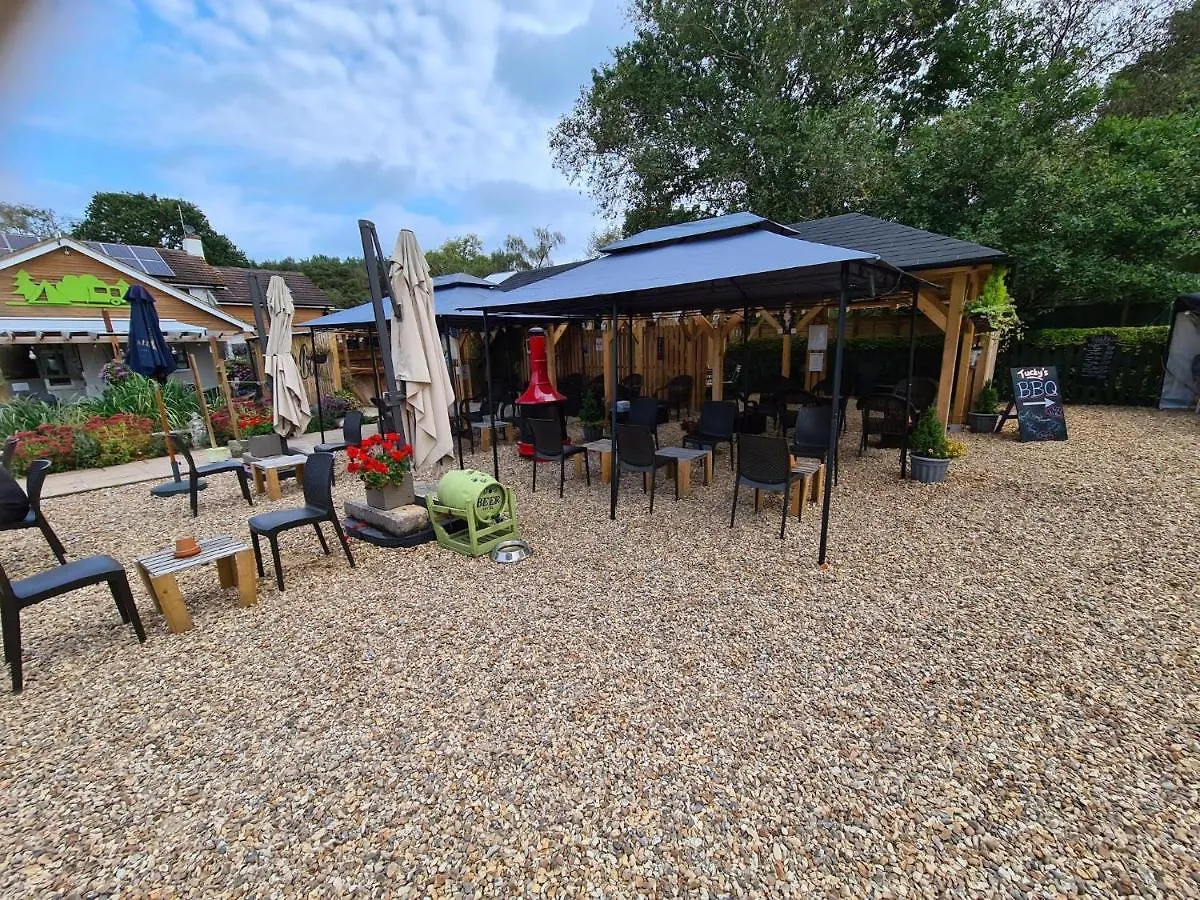 Campingplads Glamping At Back Of Beyond Touring Park Hotel Saint Leonards Storbritannien