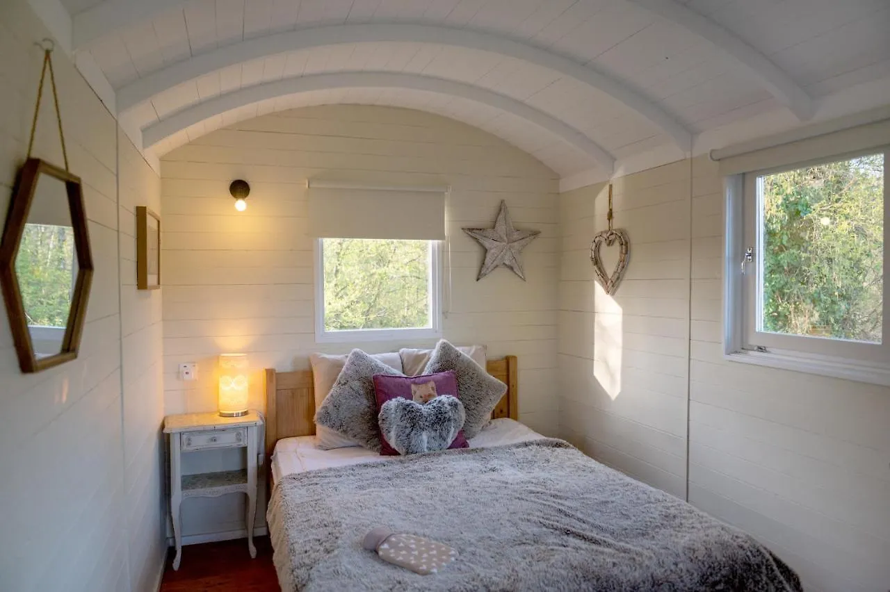 Glamping At Back Of Beyond Touring Park Hotel Saint Leonards Campingplads