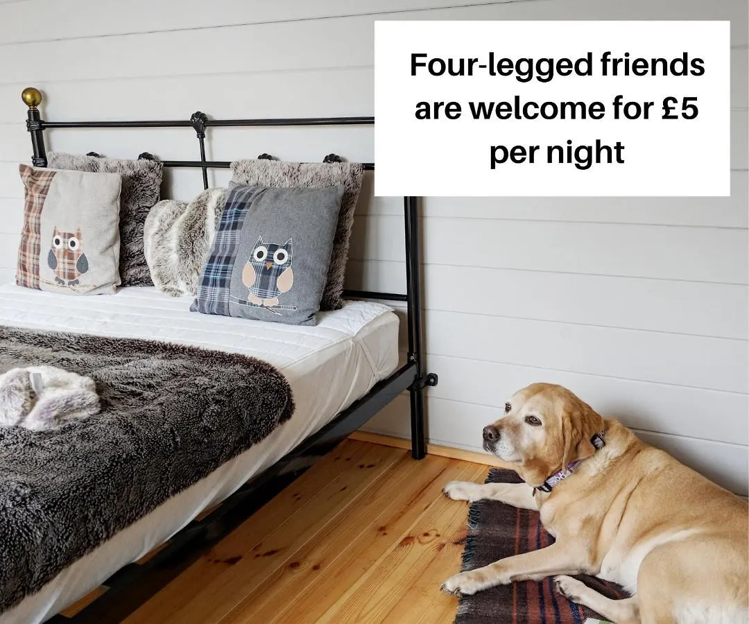 Glamping At Back Of Beyond Touring Park Hotel Saint Leonards United Kingdom